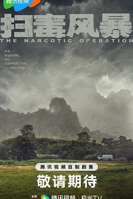 全33《扫毒风暴》2025电视剧-超前完结全33集-4K/1080资源-国语中字-单集1G左右