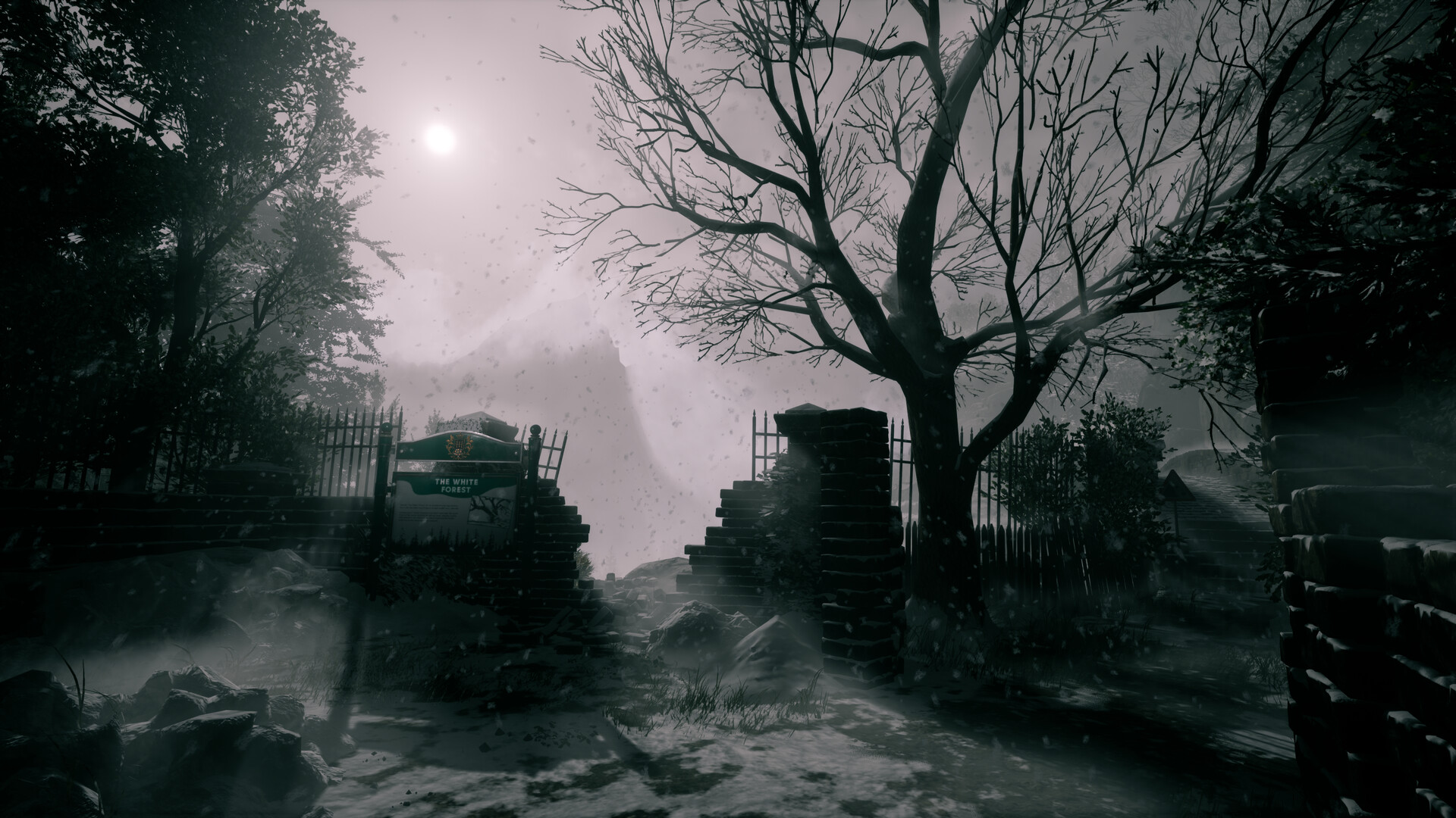 她要离开/She’s Leaving