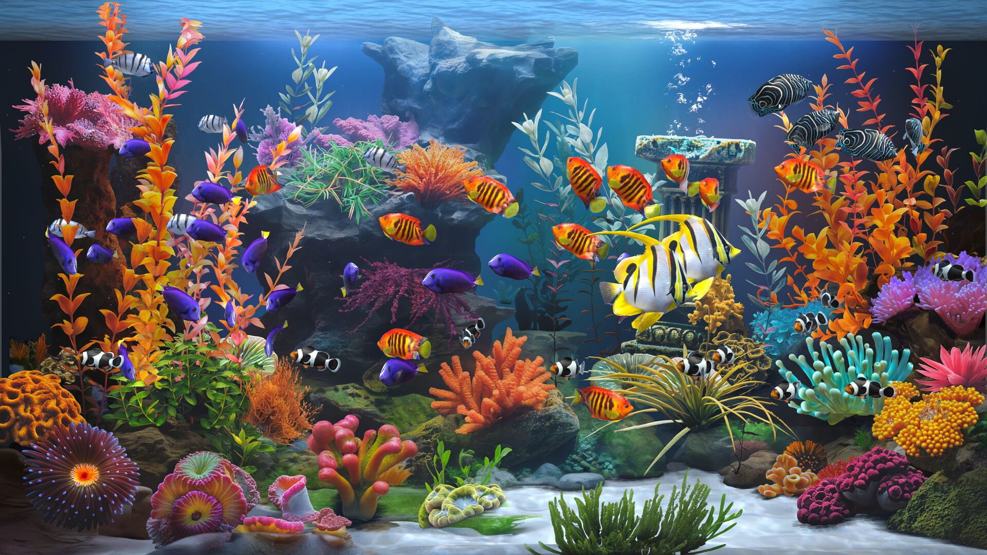 禅意水族馆/Zen Aquarium