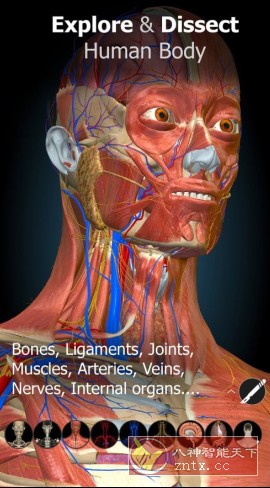 Anatomy Learning 3D解剖学v3.1.499高级版