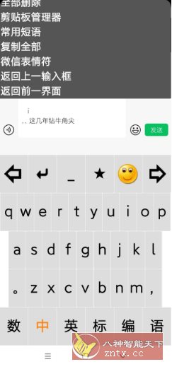 点明输入法v3.0.0729 –专为视障朋友打造的盲用输入法